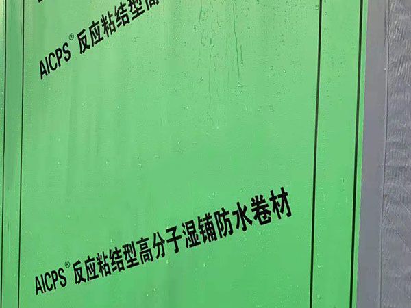 濕鋪自粘防水卷材